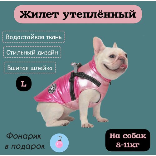 ���� ����� ��� ����� ������� ����� ���������� ������������, �������, L, ������ ������