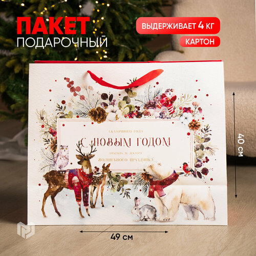 ���� ����� ���������� �������� ������, XL 49 � 40 � 19 ��, ���������� �����, ������ ������