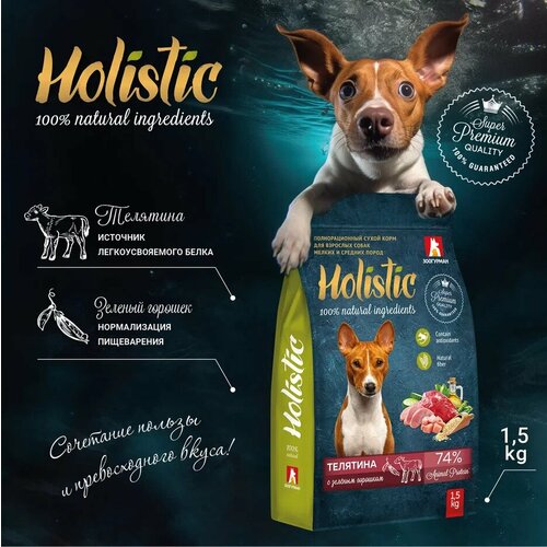           , Holistic     1,5 .   -     , -  