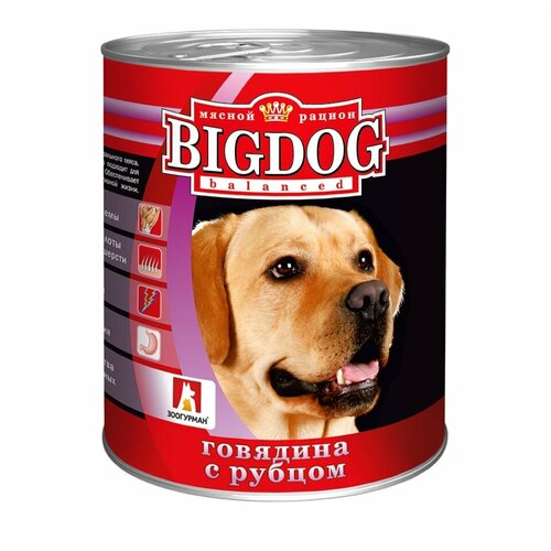       Big Dog, ,  1 .  1 .  850  (    )   -     , -  