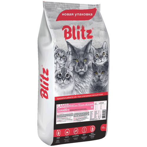      Blitz Sensitive   10000    -     , -  