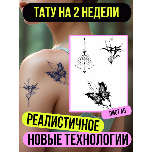 ���� ���� ���������� �������������� ��������, ������ ������