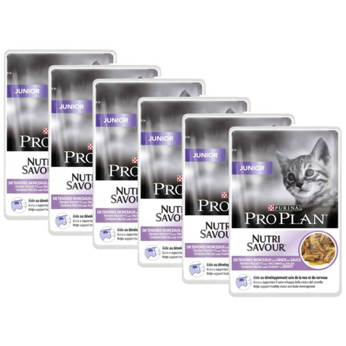      Pro Plan   6 .  85  (  )   -     , -  