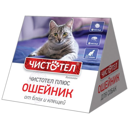 ���� �������� ������� �� ���� � ������ ���� ����� ��� �����, 35 ��, ������ 1 ��. � ��., 1 ��., ������ ������