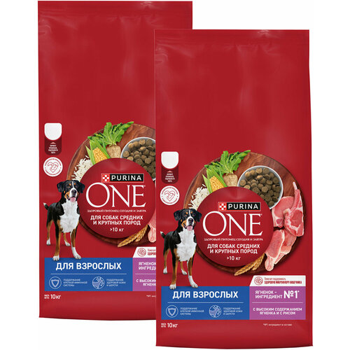  PURINA ONE            (10 + 10 )   -     , -  