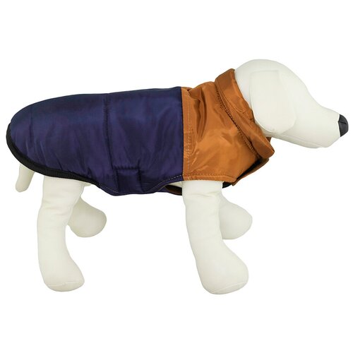 ���� �������/����� ��� �����, ������ ��� �����, 