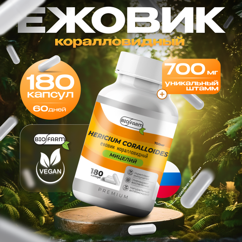���� ������ ������������� 700��, ������� ������ �������, hercium coralloides, ������ ������