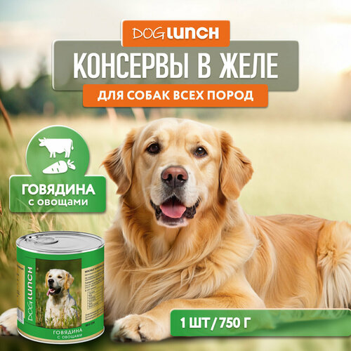      Dog Lunch ,   1 .  1 .  750    -     , -  