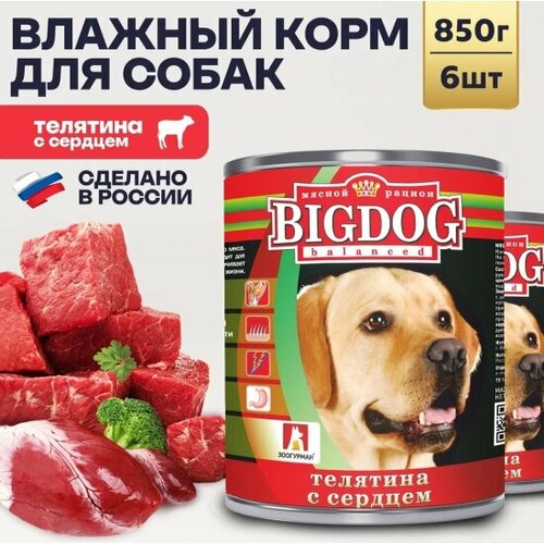     Big Dog    6  850   -     , -  