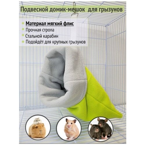 ���� �����-����� ��� �������� 