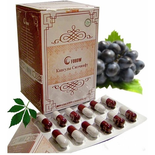 ���� ������� �������� ������, ������ ������