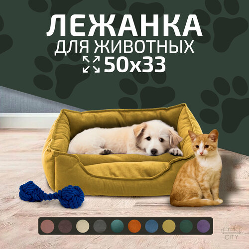 ���� ������ ������� City HD ��� ����� � �����, 50�33�13 ��, ������ L, ���������, ������ ������