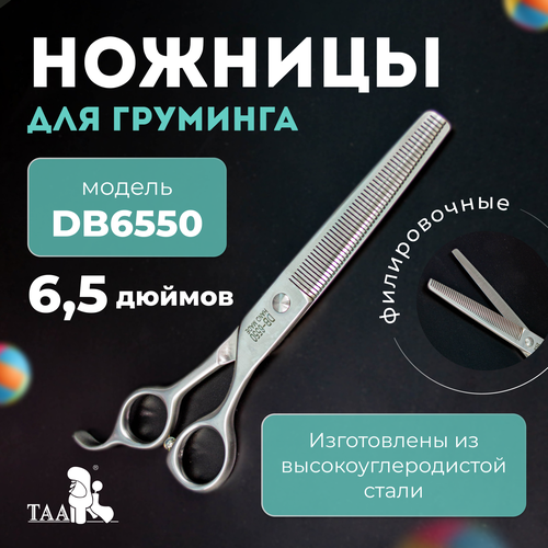  TAA     6.5 DB6550 ,       -     , -  