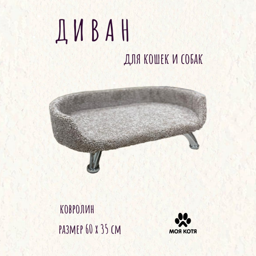 ���� ������� ��� ����� � ����� ��� ���� �������, ������ ������