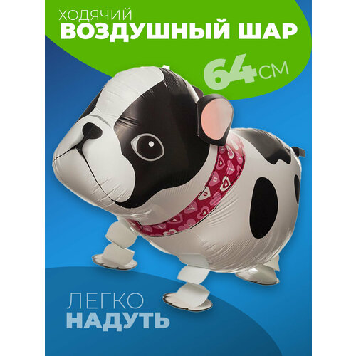 ���� �������������� ������� ��� ������, ������ ������