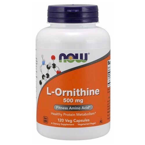  L-Ornithine ., 500 , 170 , 120 .   -     , -  