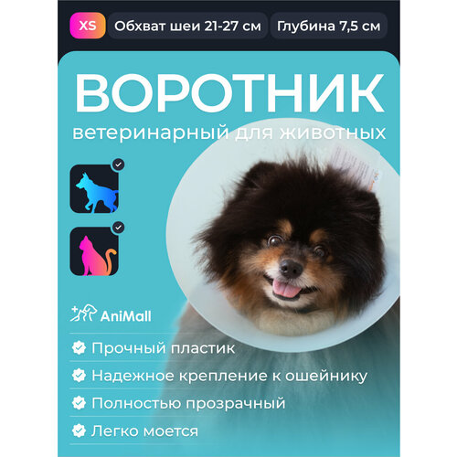 ���� �������� ����������� 7.5 ��, ������ ������