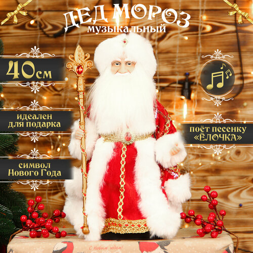 ���� ��� ����� ��� ���� ����������� 40 �� ���������-�������, ������ ������