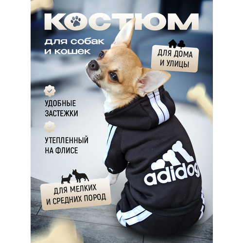   Adidog    , ,  S, , ,     -     , -  