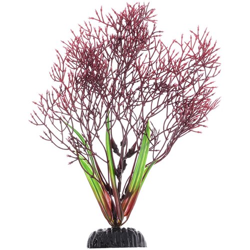 ���� �������� ��� ��������� ����������� Barbus Plant 032/20 ���������� ������� 20 �� (1 ��), ������ ������