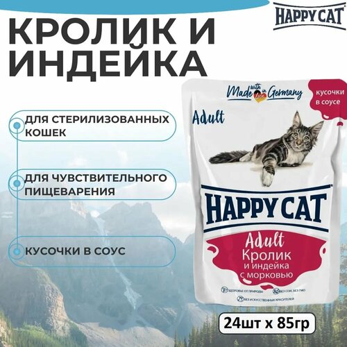   Happy Cat   ,         85   24   -     , -  