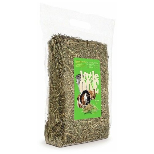 ���� Little One ���� ������ �������������� 1��, ������ ������