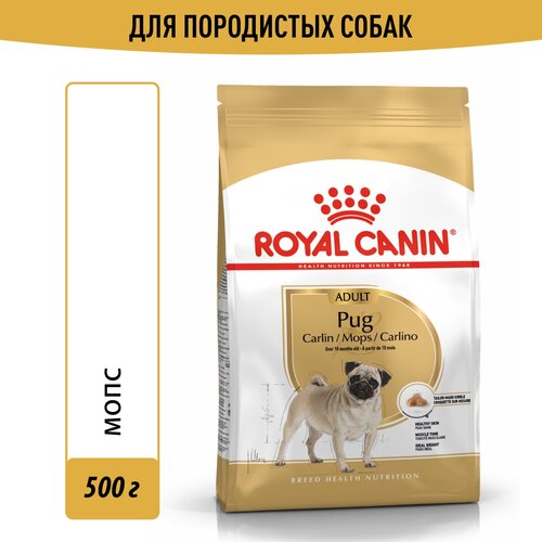      Royal Canin   1 .  1 .  500  (  )   -     , -  