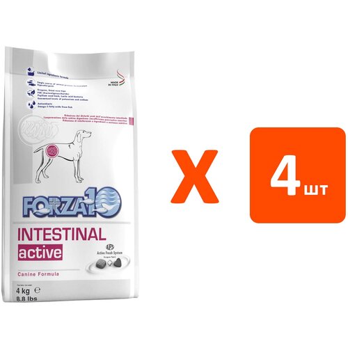  FORZA10 DOG INTESTINAL ACTIVE        -  (4   4 )   -     , -  