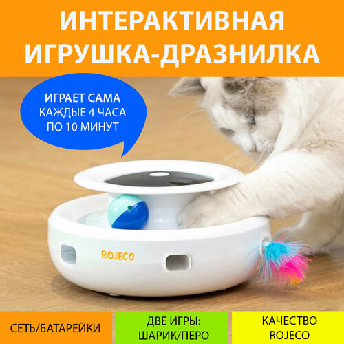   - 2  1  .   Rojeco  MY PET`S GADGETS   -     , -  