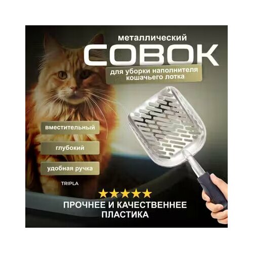 ���� ������������� ����� ��� ������ ��������� ����� ������� / ������� ��� ��������� ������� (����������� ����� ��� ��������� �������� �����������), ������ ������