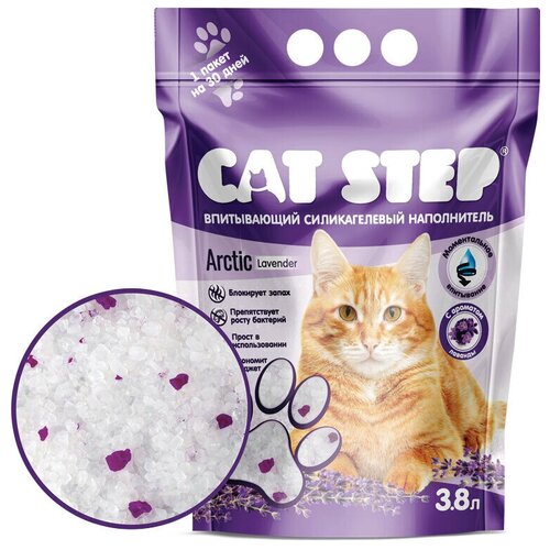     Cat Step Arctic Lavender 3.8   -     , -  