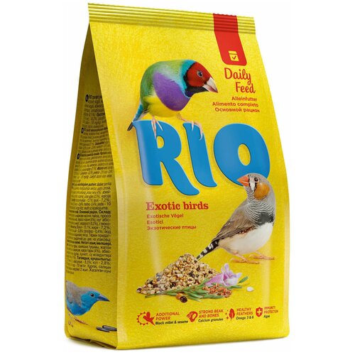 ���� RIO ���� ��� ������������ ���� (������� � �. �), ����� 1 ��*4 ��, ������ ������