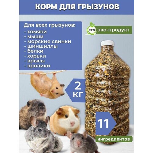 ���� ���� ����� 2�� ��� ���� � �������, ������ ������