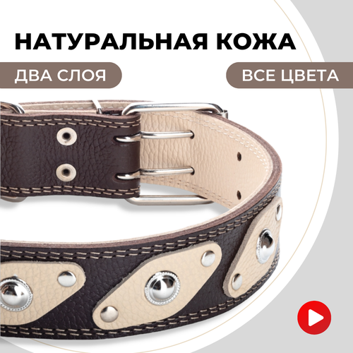 ���� ������� ������� ��� ������� �����, ��� ������� �����, �����������, ������ ������