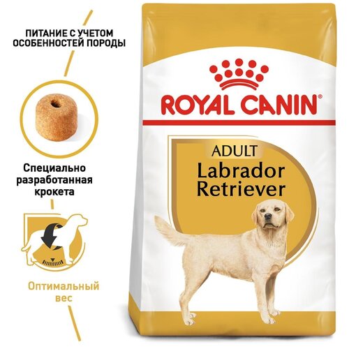    Royal Canin Labrador Retriever Adult        1   8 , 12    -     , -,   