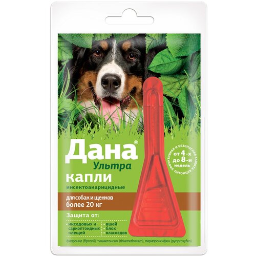 ���� Apicenna ����� �� ���� � ������ ���� ������ ��� ����� ����� 20 �� ��� �����, ������, �����, ��� �������� �������� �� 20 �� 1 ��. � ��., 1 ��., ������ ������