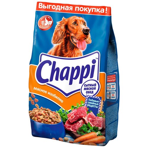    CHAPPI    .  , 2.5   -     , -,   