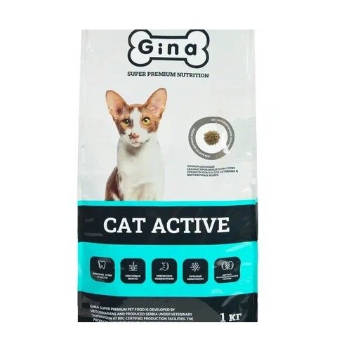      Gina Cat Active , , , , 1    -     , -,   