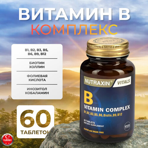 ���� �������� ������ �, ������ ������