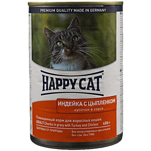    Happy Cat          12   400    -     , -,   