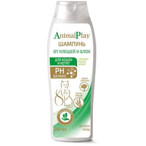     Animal Play  /       250   -     , -,   