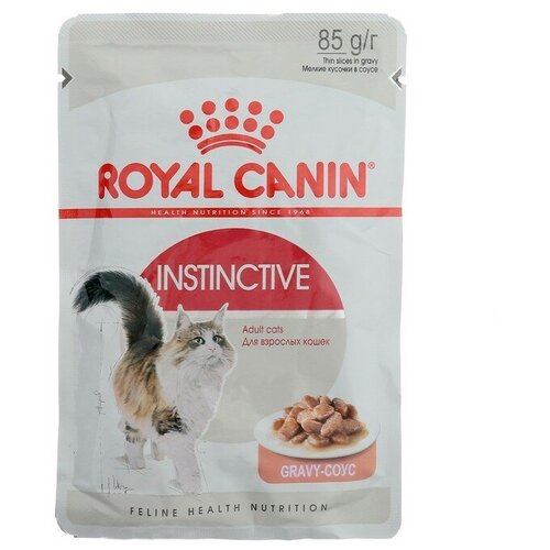    RC Instinctive  ,  , , 85    -     , -,   