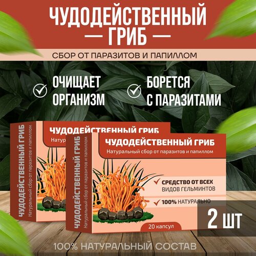 ���� ��������������� ���� ���� �� ��������� � �������� 2 ��������, ������ ������