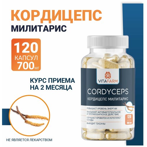    (Cordyceps militaris)  120 / 700    -     , -  