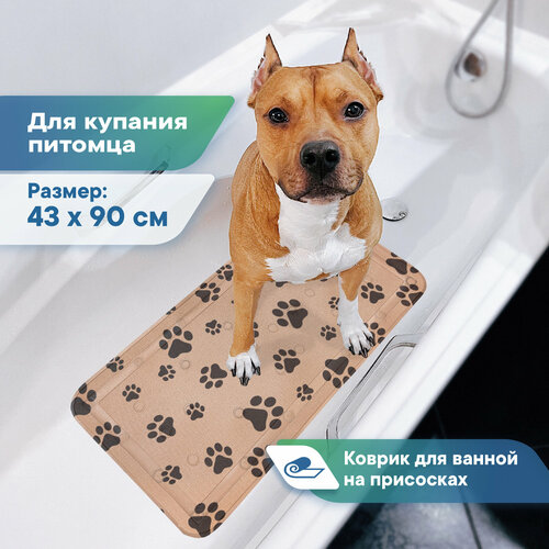 ���� ������ ��� �������� ��� ������ � ���������� 43�90 �� / ������ ��� ������� ����� � ����� ����������, ������ ������