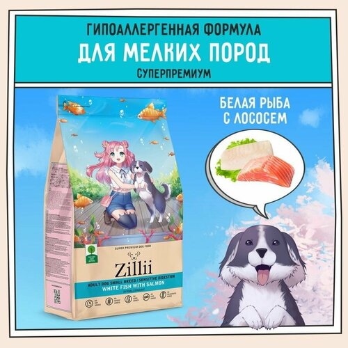           800   ZILLII (),       -     , -  