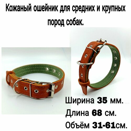 ���� ������� ������� ��� ������� � ������� ����� �����., ������ ������