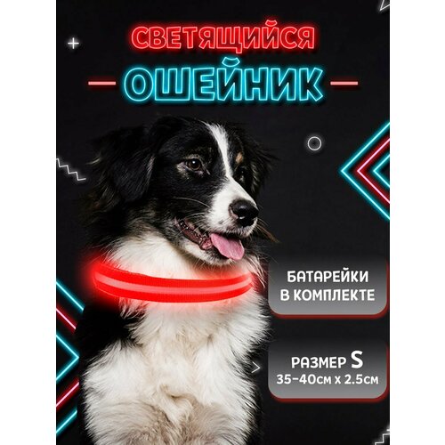 ���� C��������� ������� ��� ������ �����, ������ S, �������, ������ ������