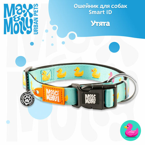 ���� ������� ��� ����� Smart ID, ������ L, ����� Max & Molly, ������ ������