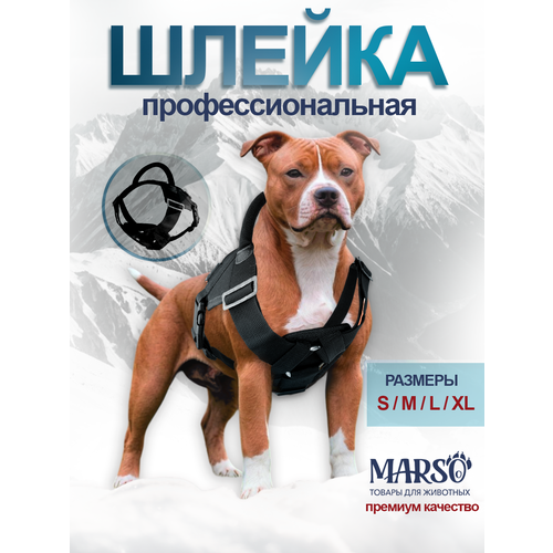 ���� ������ ��� ����� ������� � ������� ����� XL, ������ ������